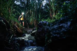 BIB: 
                            <button type="button" onclick="openModal(26206355)" class="btn btn-primary btn-sm float-right btn-popup" data-toggle="modal" data-target=".modal-high-quality">
                        <i class="fas fa-shopping-cart"></i> Add to Cart
                    </button>
                                            <button type="button" onclick="isThisMe(26206355, true)" class="btn btn-success btn-sm float-right btn-popup btn-isme hidden" data-toggle="tooltip" data-placement="bottom" title="นี่คือรูปของคุณใช่ไหม คลิกที่นี่เพื่อเอาเข้าอัลบั้ม">
                        <i class="fas fa-plus"></i> Add to album
                    </button>
                    <button type="button" onclick="isThisMe(26206355, false)" class="btn btn-warning btn-sm float-right btn-popup btn-isnotme hidden">
                        <i class="fas fa-ban"></i> Remove from album
                    </button>